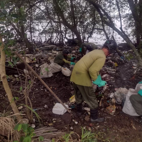 Guará Vermelho - Monitoramento